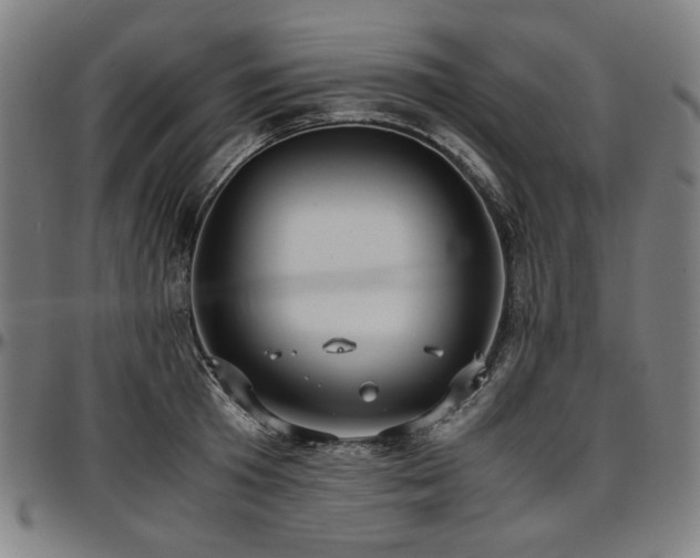 X0000097600801200802291242