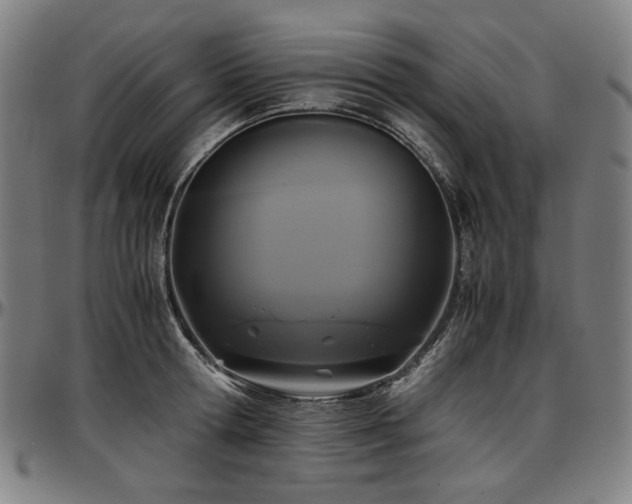 X0000097600802200802291242