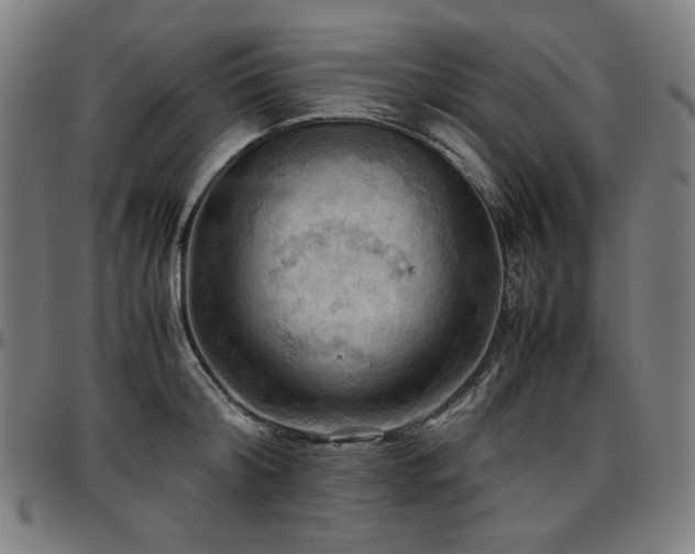 X0000097600804200802291242