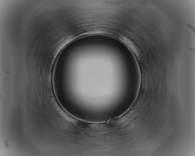 X0000097600805200802291242