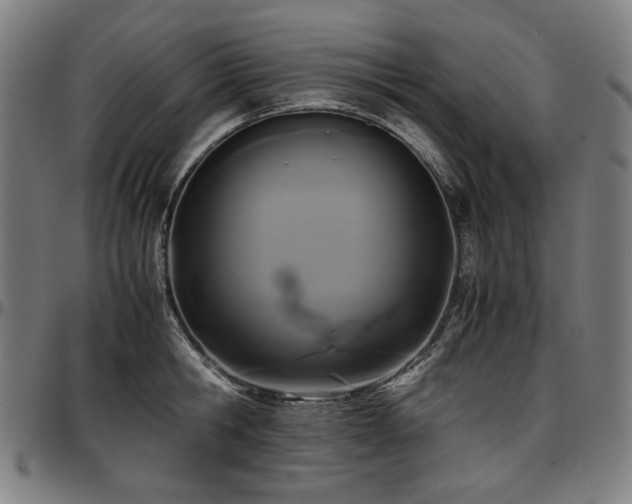 X0000097600806200802291242