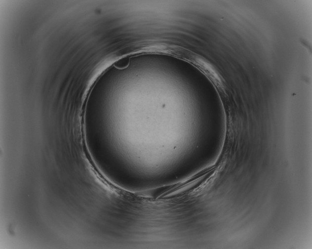 X0000097600808200802291242