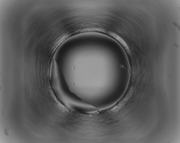 X0000097600809200802291242
