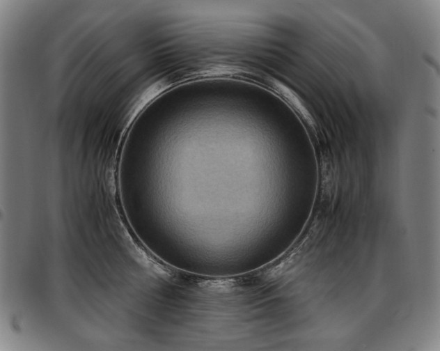 X0000097600810200802291242