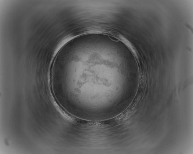 X0000097600811200802291242