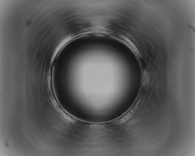 X0000097600812200802291242