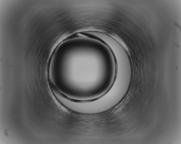 X0000097600813200802291242