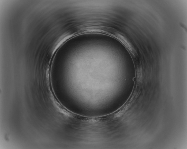 X0000097600814200802291242
