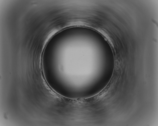 X0000097600815200802291242