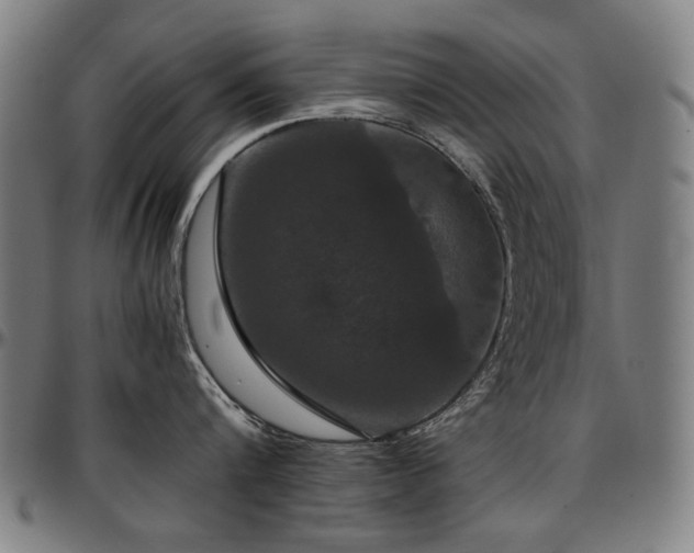 X0000097600816200802291242