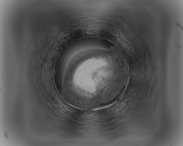 X0000097600817200802291241