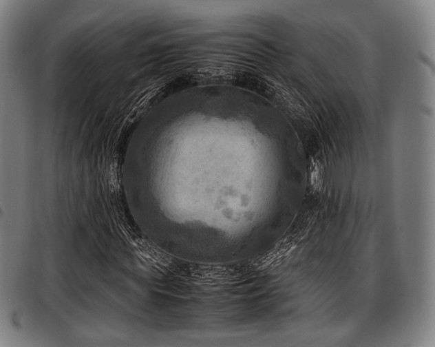 X0000097600819200802291241
