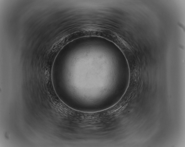 X0000097600821200802291241