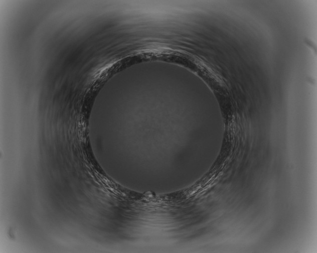 X0000097600822200802291241
