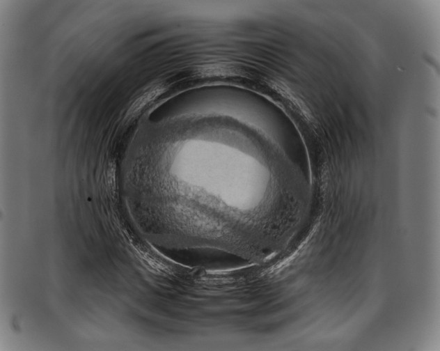X0000097600825200802291241