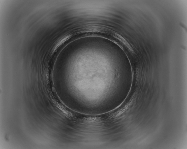 X0000097600826200802291241