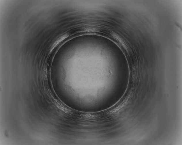 X0000097600827200802291241