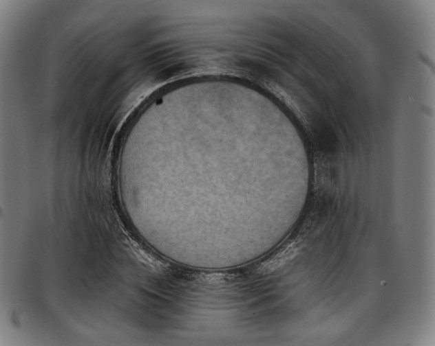 X0000097600828200802291241