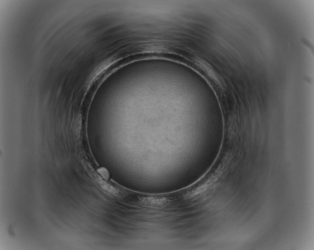 X0000097600831200802291241
