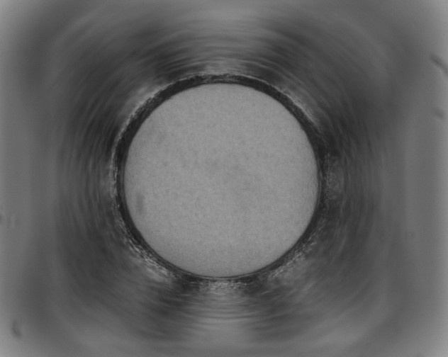 X0000097600832200802291241