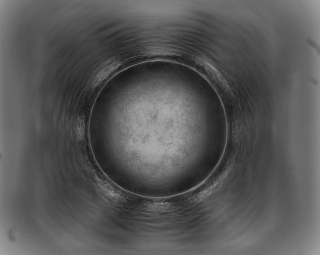 X0000097600833200802291241