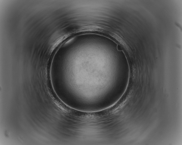 X0000097600834200802291241