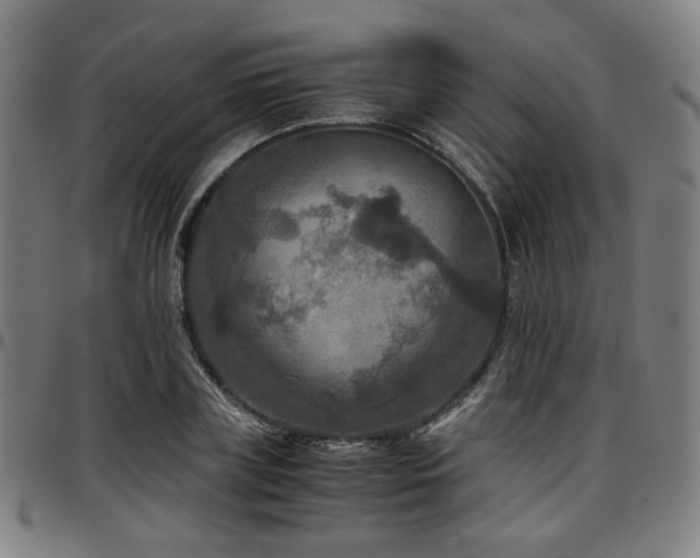 X0000097600835200802291241
