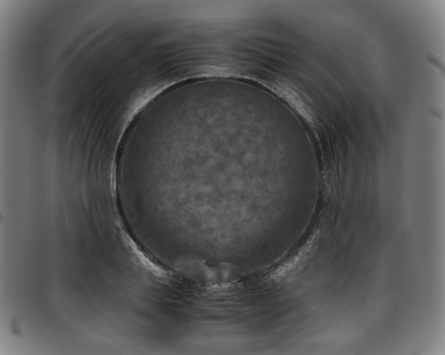 X0000097600839200802291241