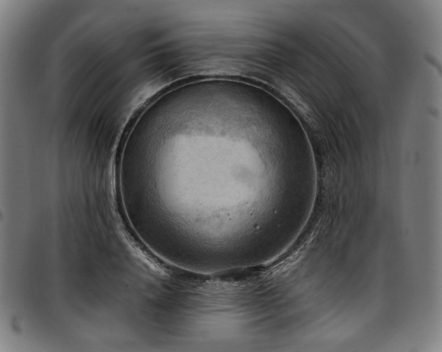 X0000097600840200802291241