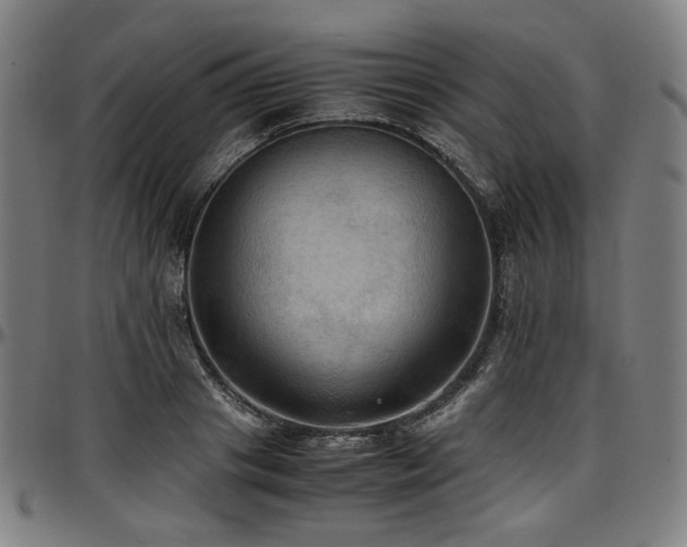 X0000097600841200802291241