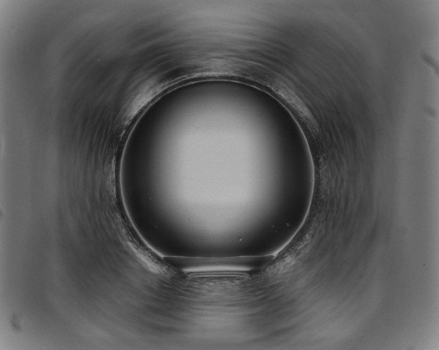 X0000097600842200802291241