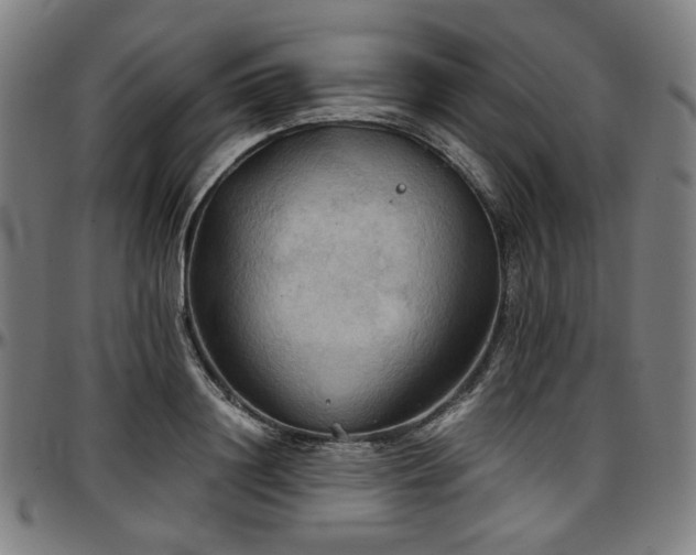 X0000097600844200802291242