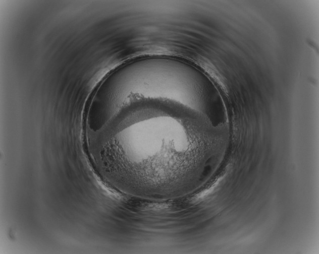 X0000097600845200802291242