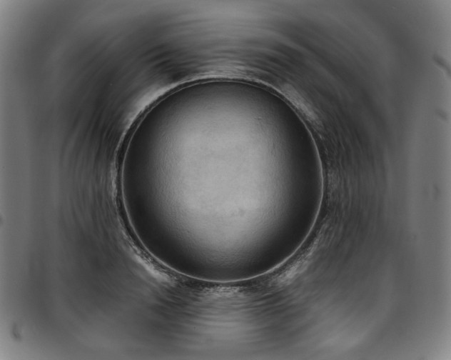 X0000097600846200802291242
