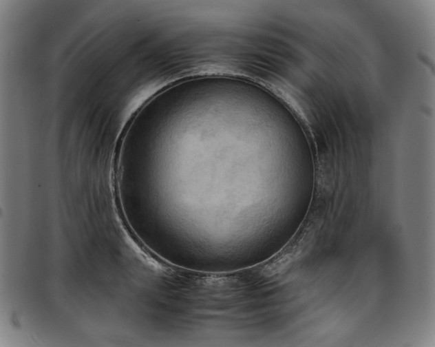X0000097600847200802291242