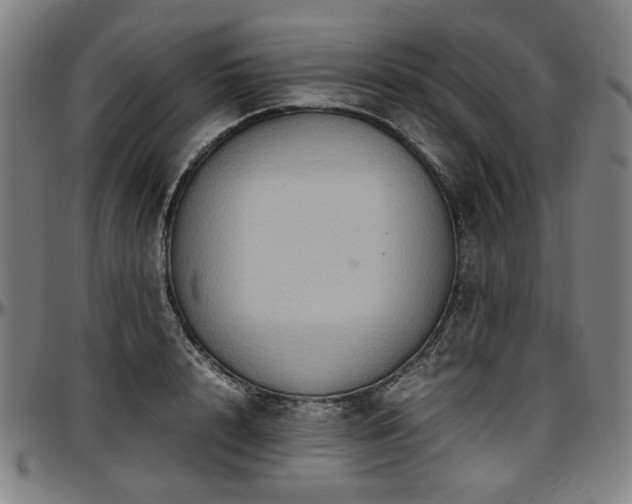 X0000097600848200802291242