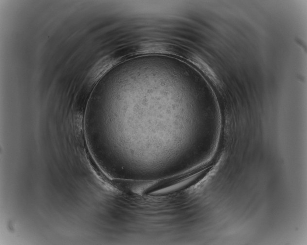 X0000097600849200802291242