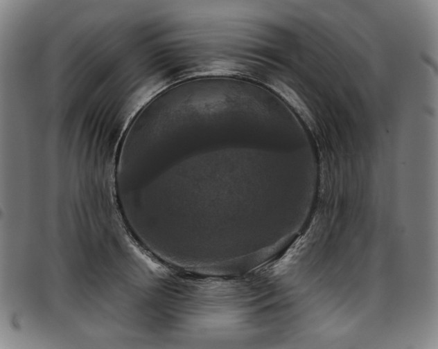 X0000097600850200802291242