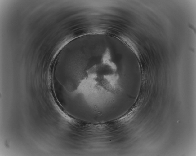 X0000097600851200802291242