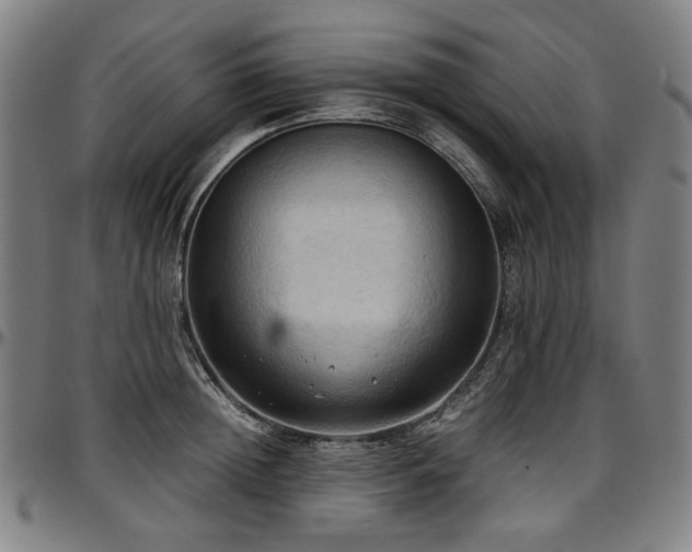 X0000097600852200802291242