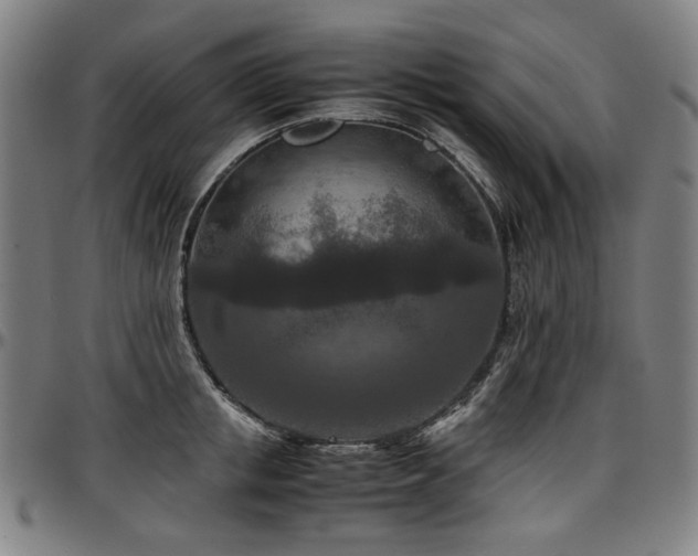 X0000097600853200802291242