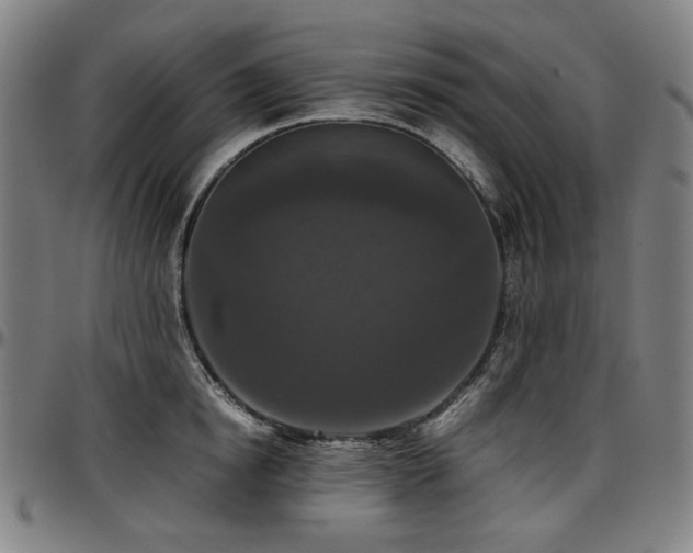 X0000097600854200802291242