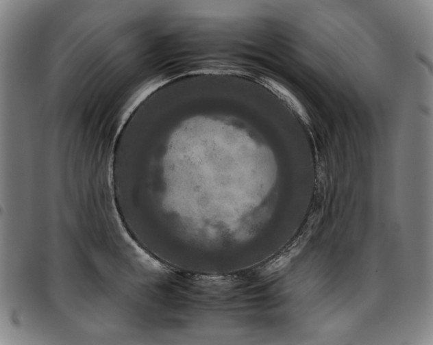 X0000097600855200802291242