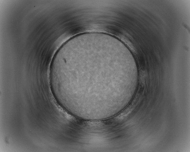 X0000097600856200802291242