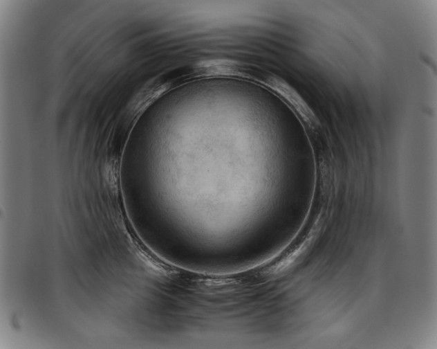 X0000097600857200802291242