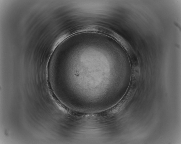 X0000097600858200802291242