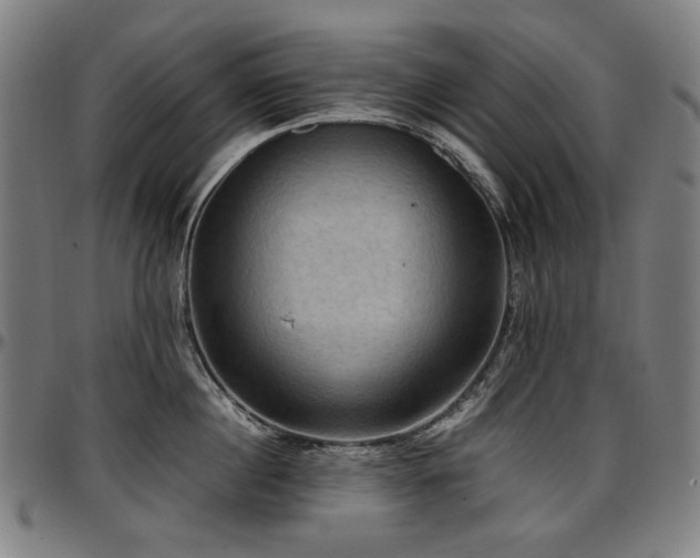 X0000097600860200802291242
