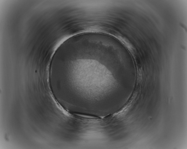 X0000097600862200802291242