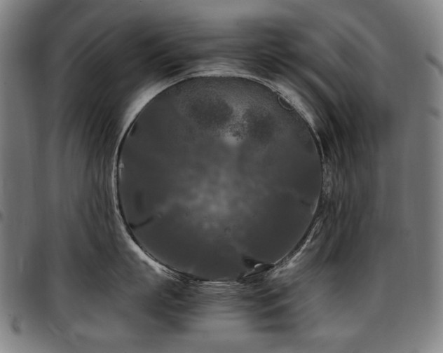 X0000097600863200802291242