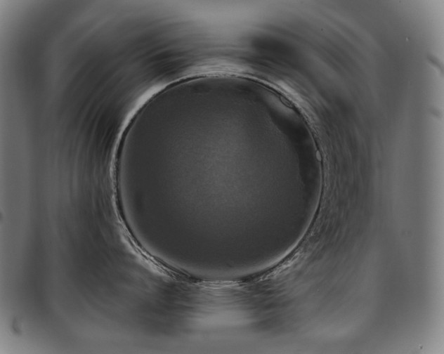 X0000097600864200802291242